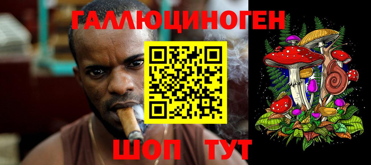 Псилоцибиновые грибы Psilocybe  Псилоцибиновые грибы Cubensis  Баксан  купить   Вход с VPN 